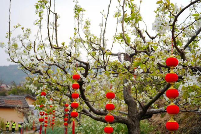 县市三月活动公布麻将胡了大理各(图5)