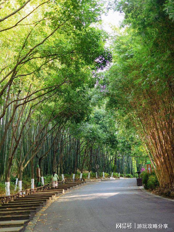 略路线 成都旅游必看攻略～暑假必看麻将胡